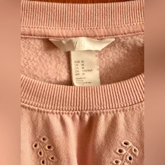 H&M Pink Embroidered Eyelet Sweatshirt - Picture 5 of 8